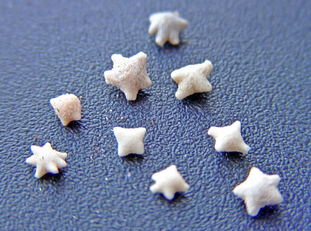Star Sand Beach Resort Sekotong Eksteriør bilde